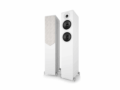 ACOUSTIC-ENERGY_AE-309²-1 Enceinte Acoustric Energy AE309