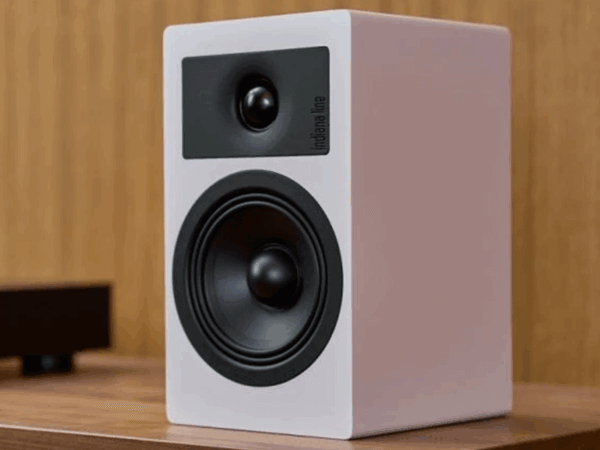 Enceinte Indiana Line Tesi 2